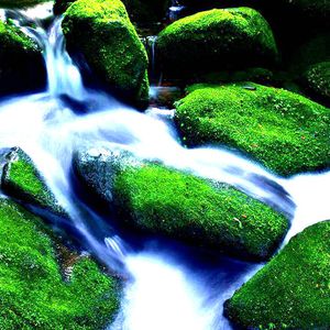 刘亦菲张开腿让男人桶
