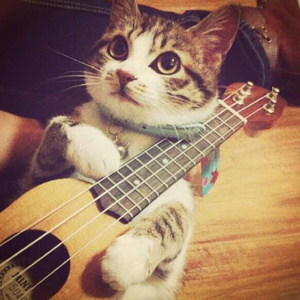 刘亦菲张开腿让男人桶
